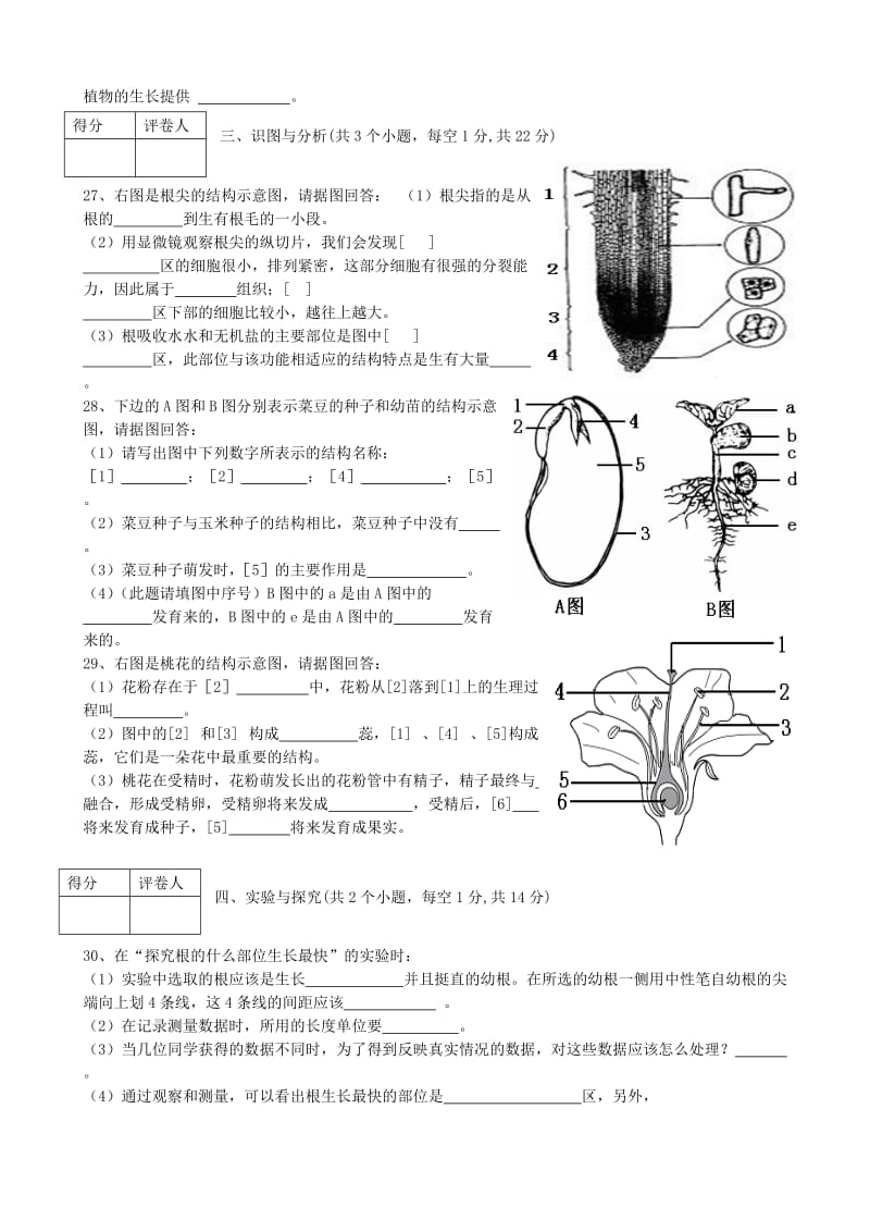 2019年六年级生物下学期期中试题 五四制.doc_第3页