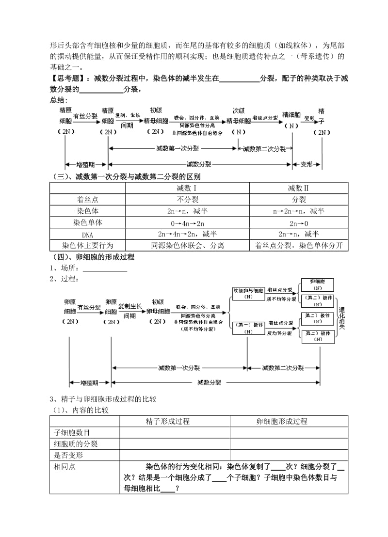 2019-2020年高一生物《减数分裂和有性生殖细胞的形成》学案 新人教版.doc_第3页