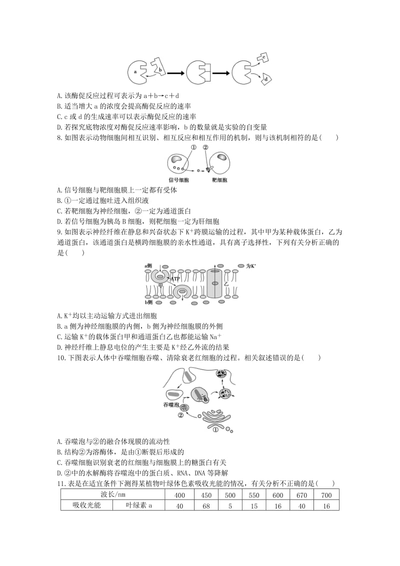 湖南省郴州市湘南中学2019届高三生物上学期期中试题.doc_第2页