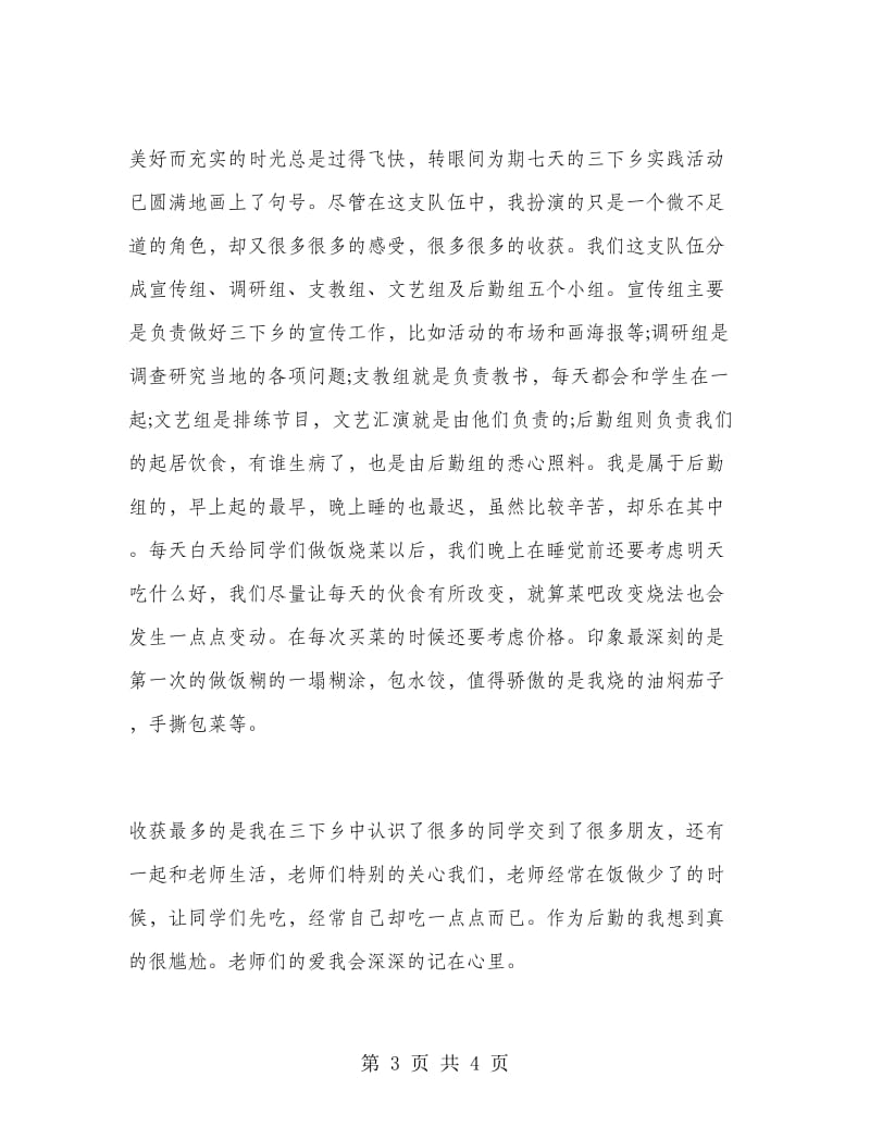 2019年大学生社会实践报告：“三下乡”维修实践.doc_第3页