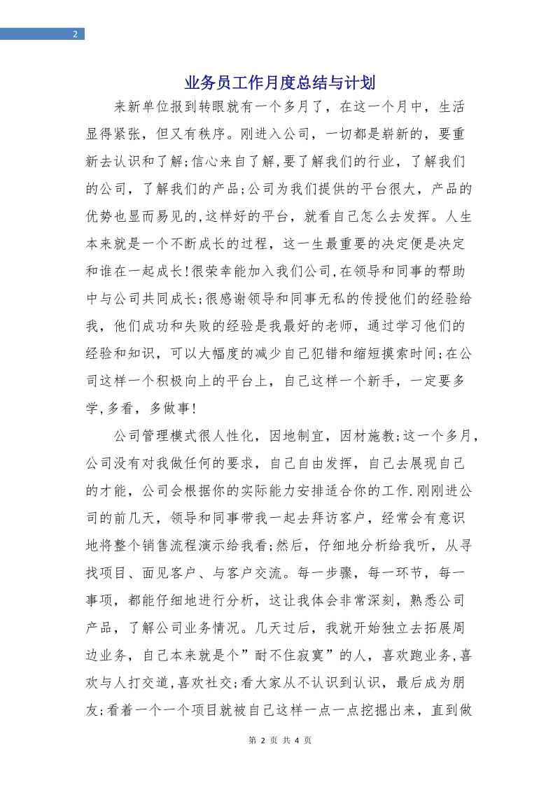 业务员工作月度总结与计划.doc_第2页