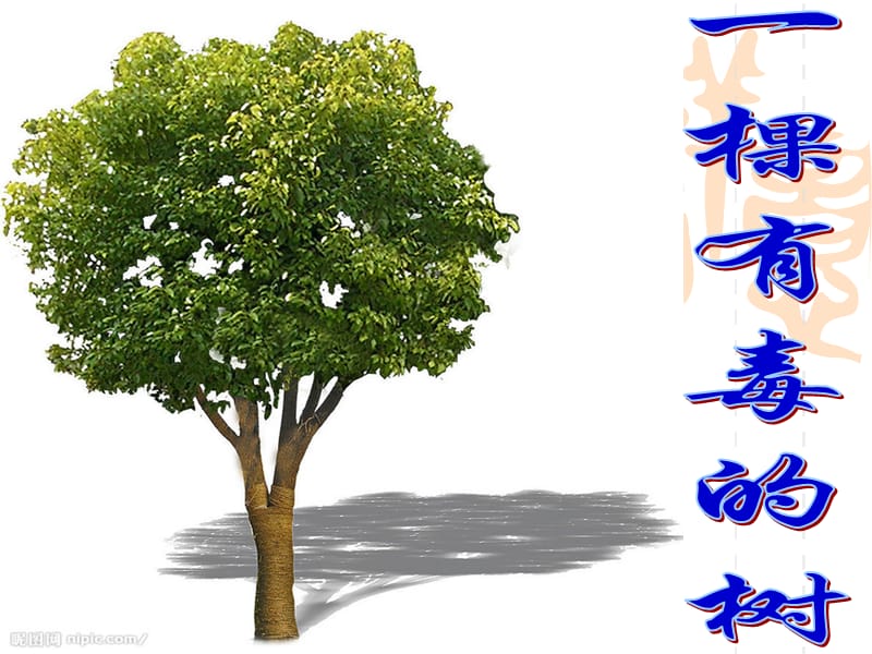 一棵有毒的樹 作文講評(píng).ppt_第1頁(yè)