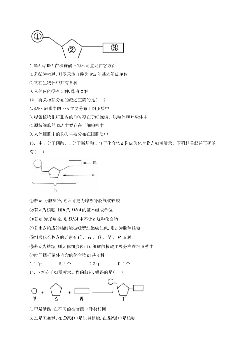 河北省正定县第三中学2018-2019学年高一生物上学期期中试题.doc_第3页