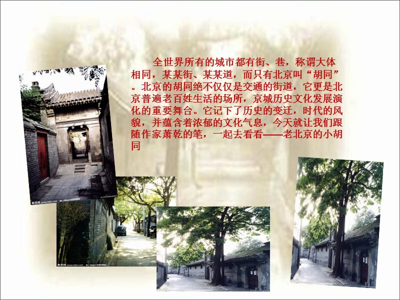 《老北京的小胡同z》PPT课件.ppt_第1页