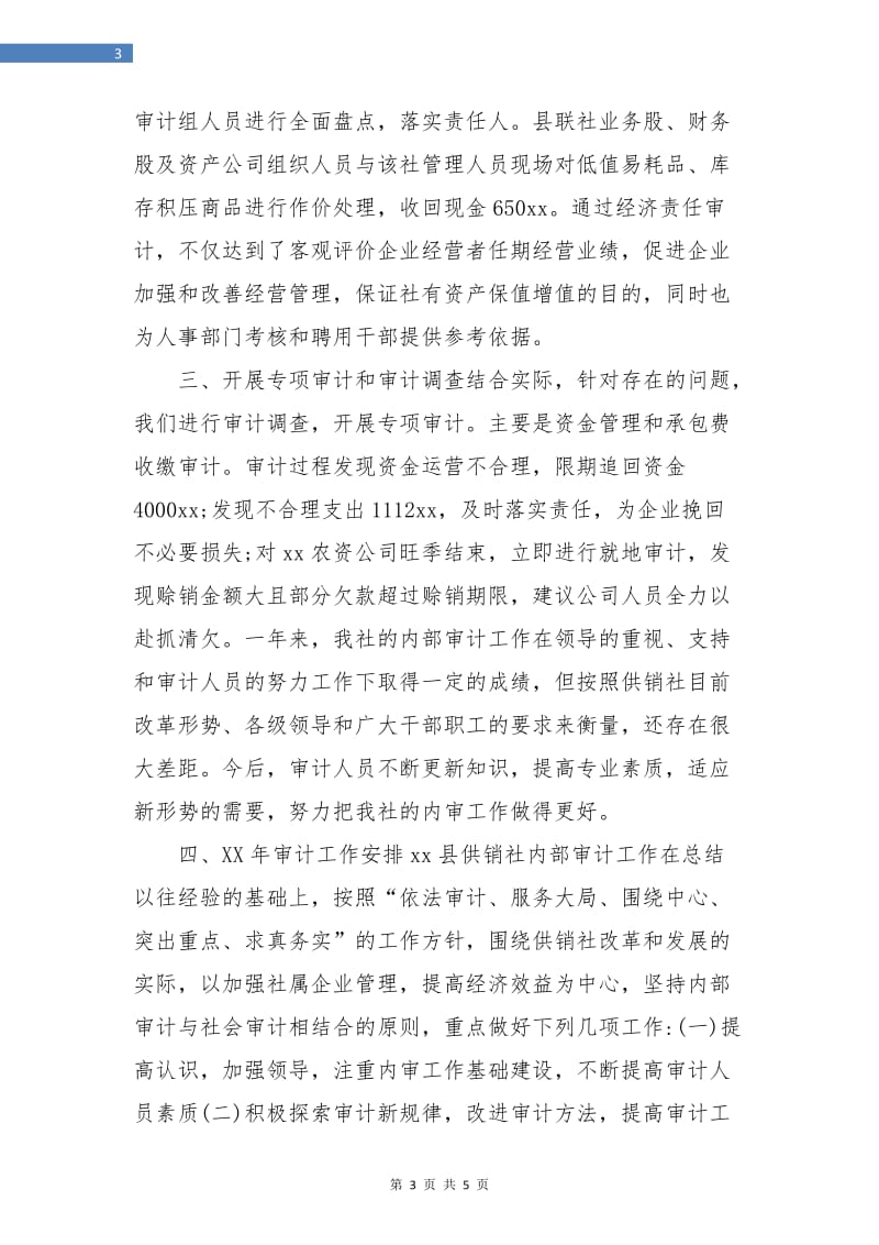 县供销社内部审计年终工作总结.doc_第3页