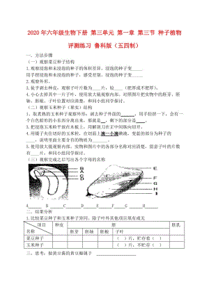 2020年六年級(jí)生物下冊(cè) 第三單元 第一章 第三節(jié) 種子植物評(píng)測(cè)練習(xí) 魯科版（五四制）.doc