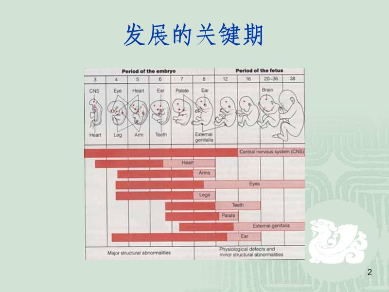 儿童心理发展关键期研究ppt课件_第2页