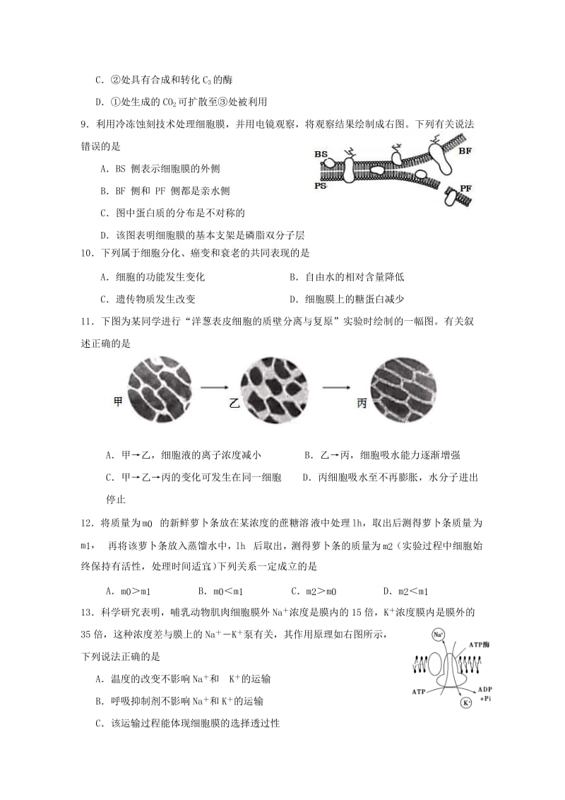 江苏省启东中学2018-2019学年高二生物下学期期中试题.doc_第2页