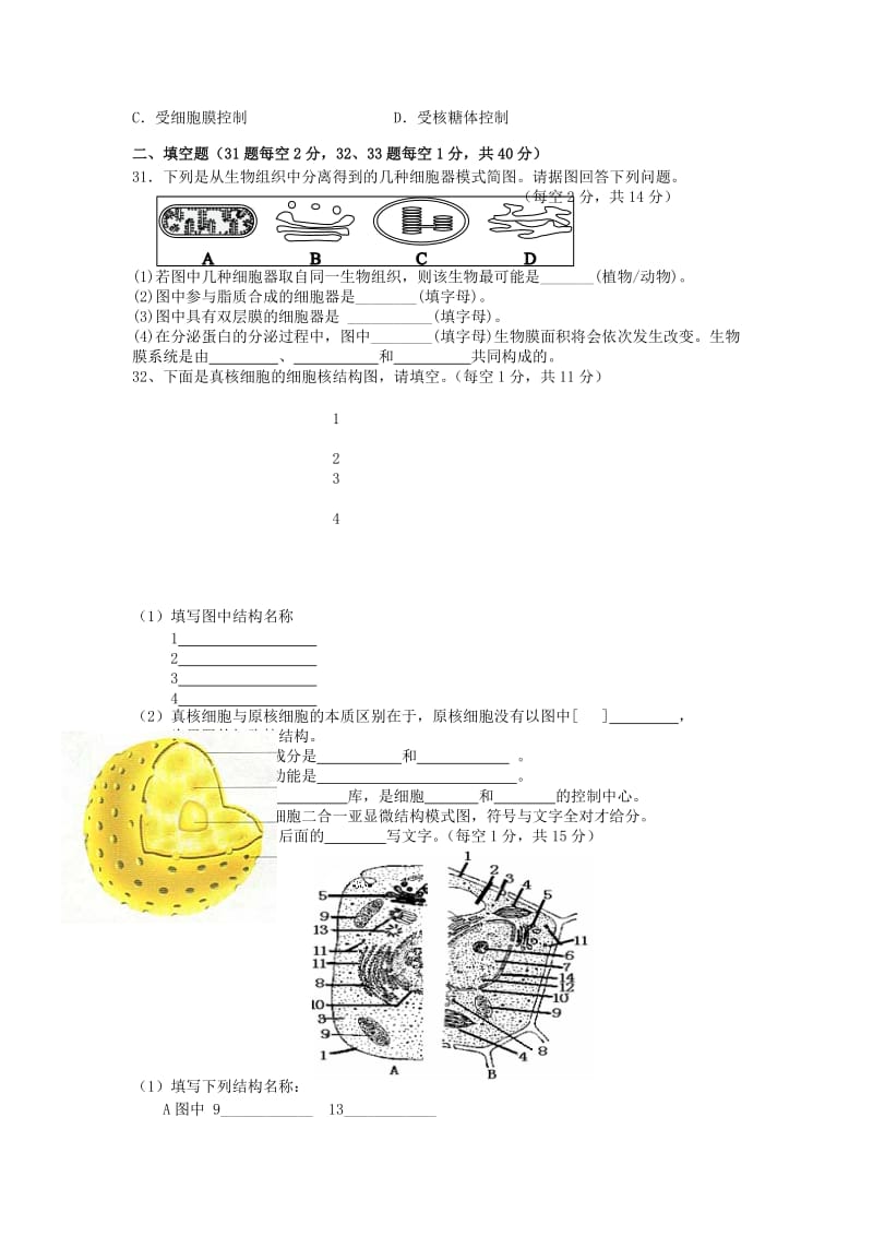 黑龙江省鸡西市第十九中学2018-2019学年高一生物上学期期中试题.doc_第3页