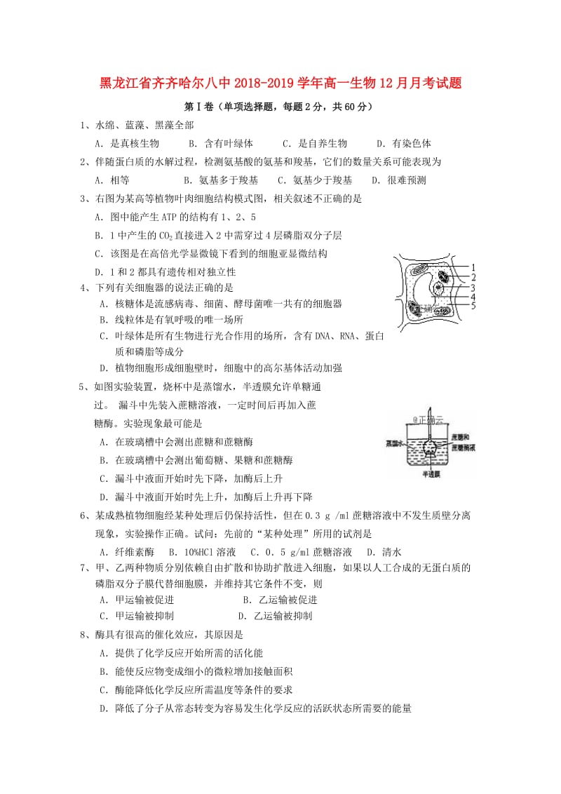 黑龙江省齐齐哈尔八中2018-2019学年高一生物12月月考试题.doc_第1页