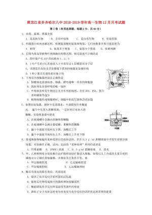 黑龍江省齊齊哈爾八中2018-2019學(xué)年高一生物12月月考試題.doc