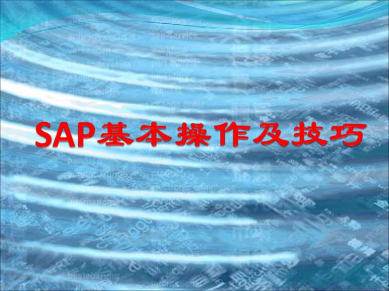 SAP基本操作及技巧.ppt_第1页