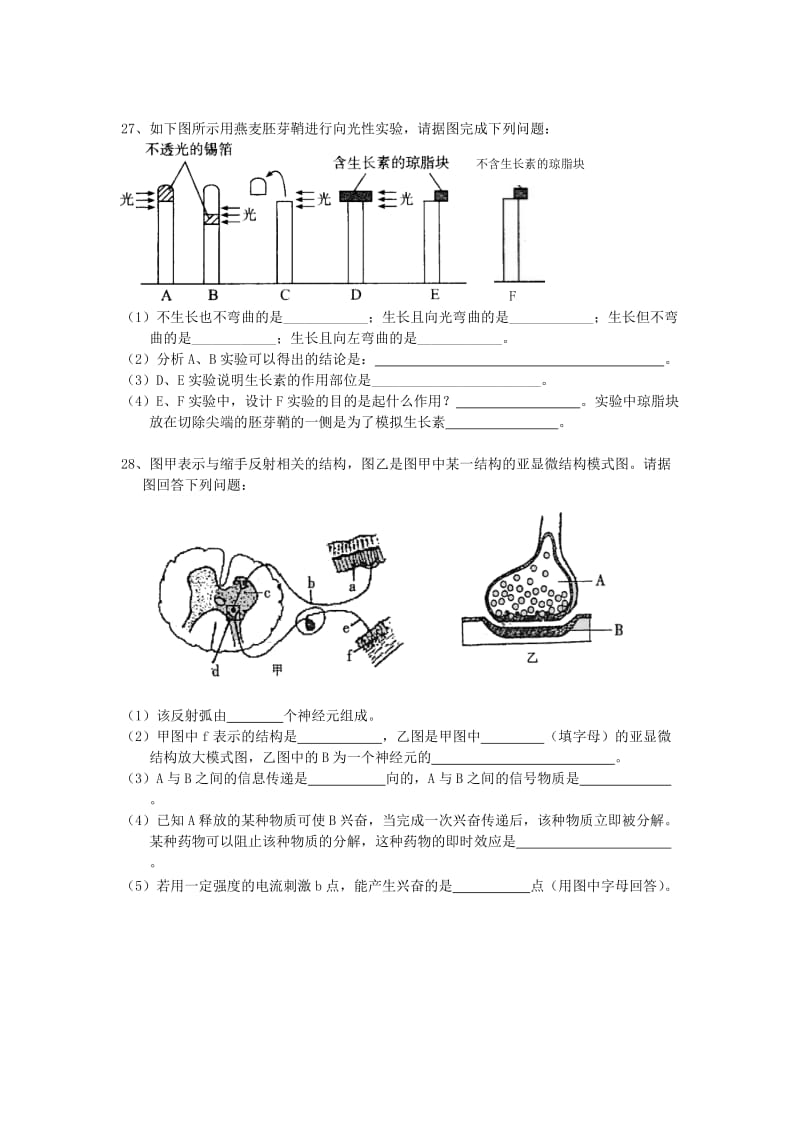 青海省西宁市沛西中学2018-2019学年高二生物上学期期中试题.doc_第3页