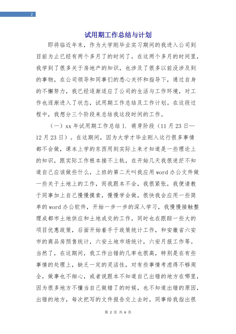 试用期工作总结与计划.doc_第2页