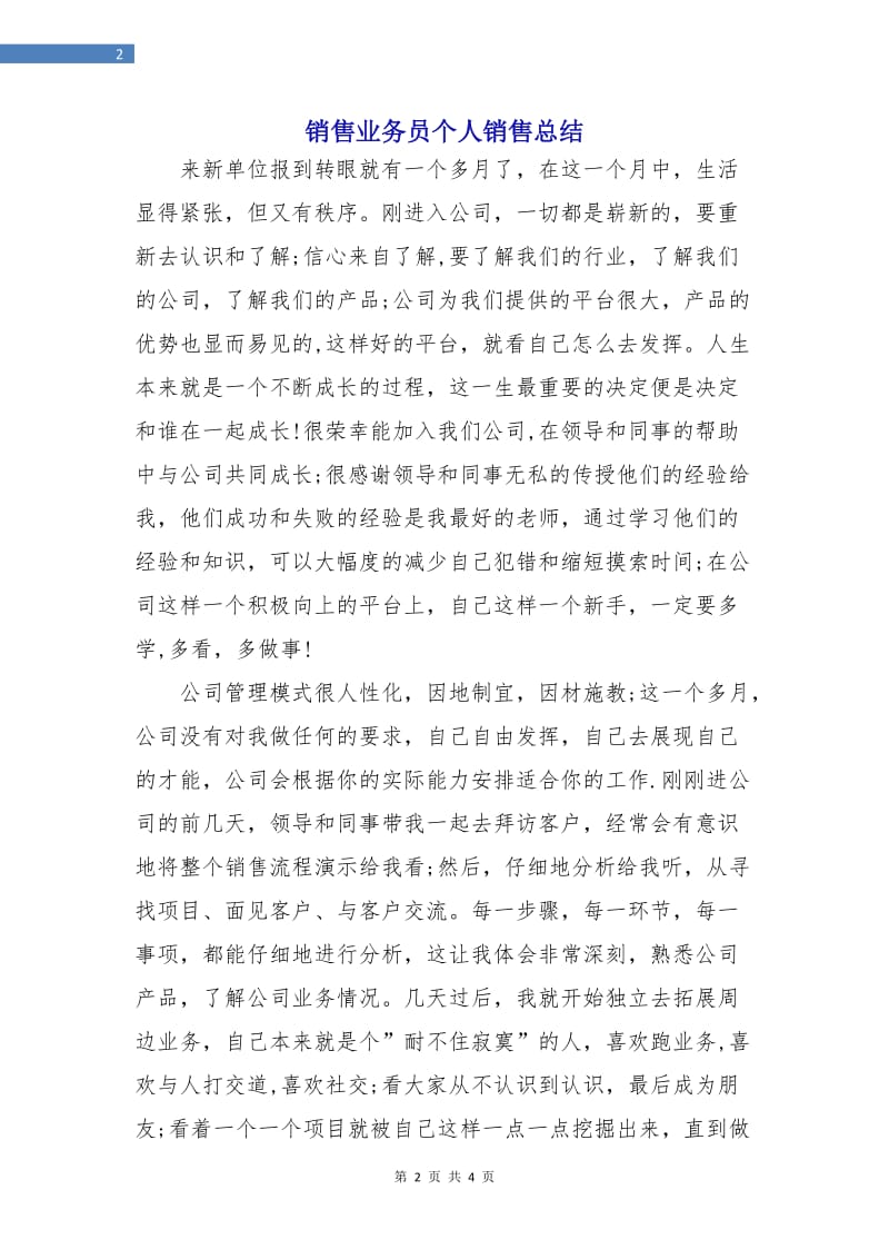 销售业务员个人销售总结.doc_第2页