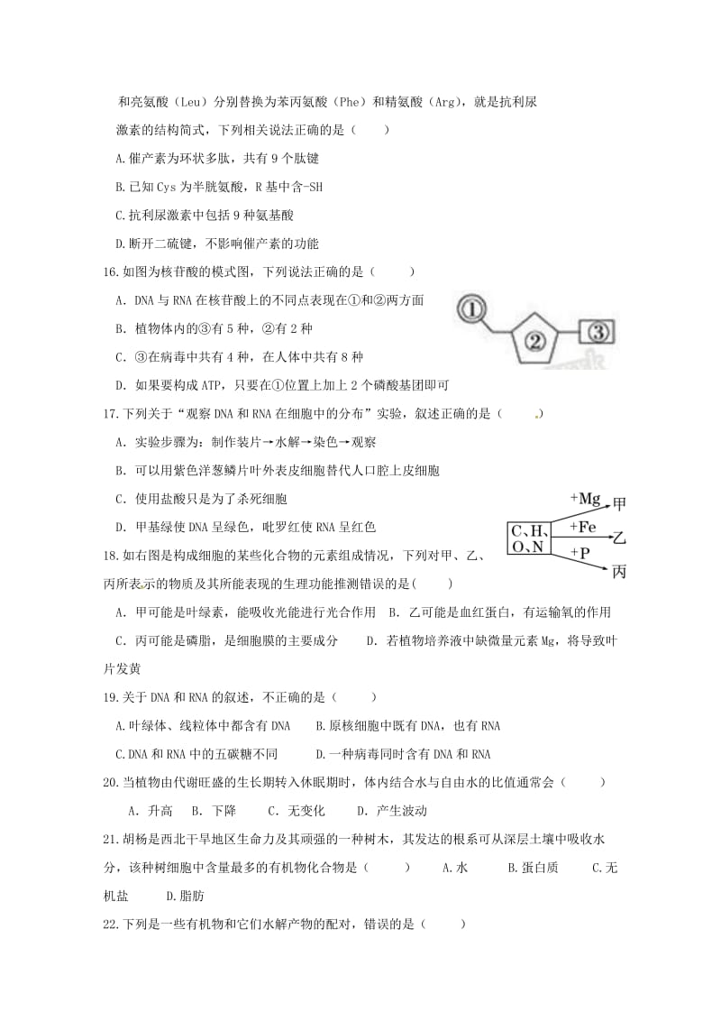 广东省普宁市华美实验学校2018-2019学年高一生物上学期期中试题.doc_第3页