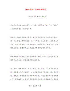 《駱駝祥子》優(yōu)秀讀書筆記.doc