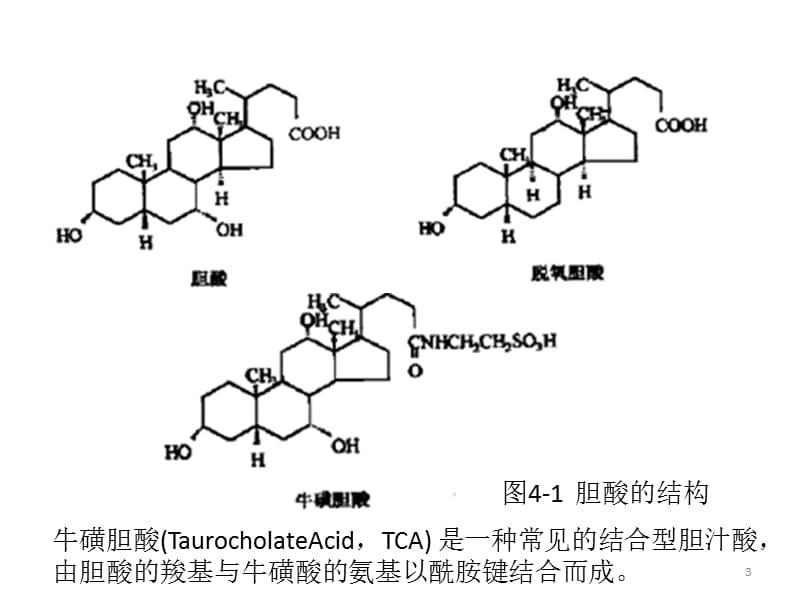 动物类食品中的天然毒素ppt课件_第3页