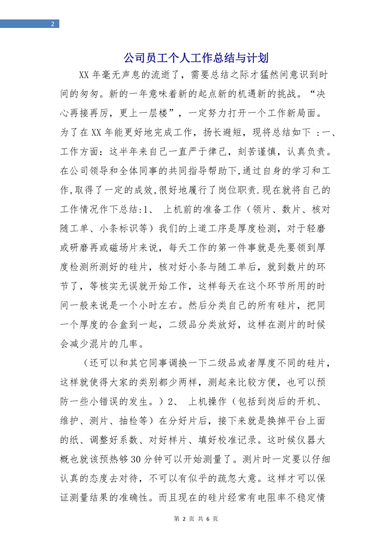 公司员工个人工作总结与计划.doc_第2页