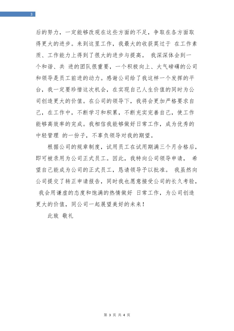 监理员试用期转正工作总结报告.doc_第3页