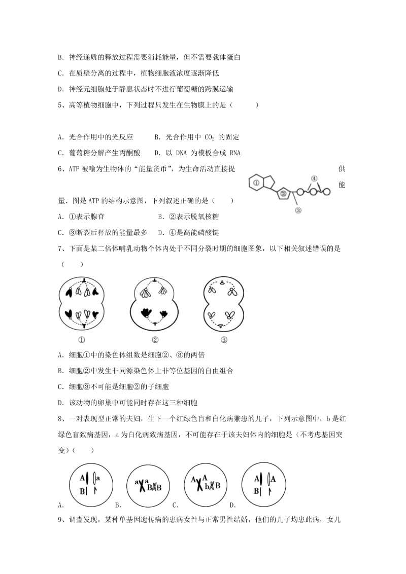 辽宁省六校协作体2018-2019学年高二生物上学期期中试题.doc_第2页