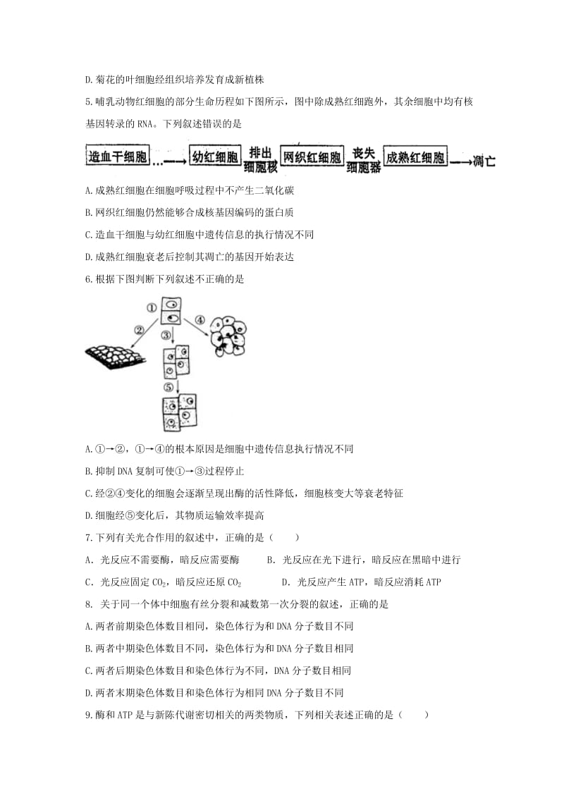 福建省晋江市季延中学2018-2019学年高一生物下学期期中试题.doc_第2页