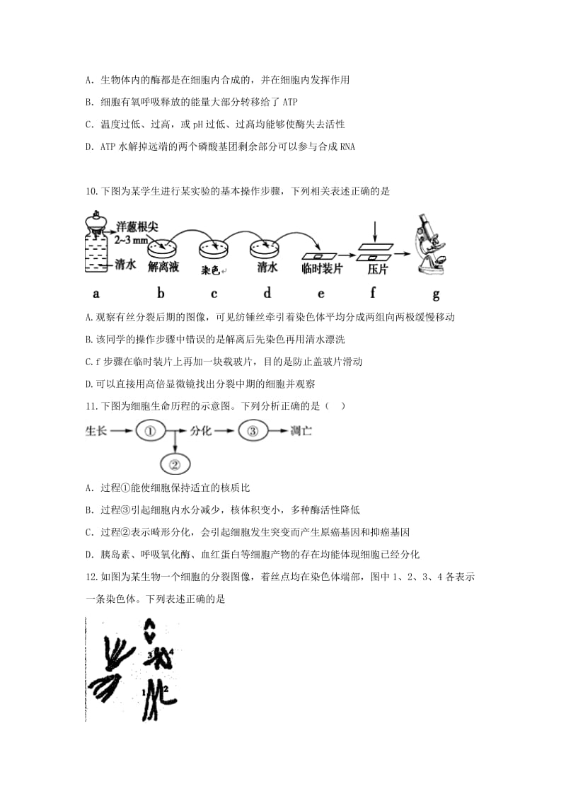 福建省晋江市季延中学2018-2019学年高一生物下学期期中试题.doc_第3页