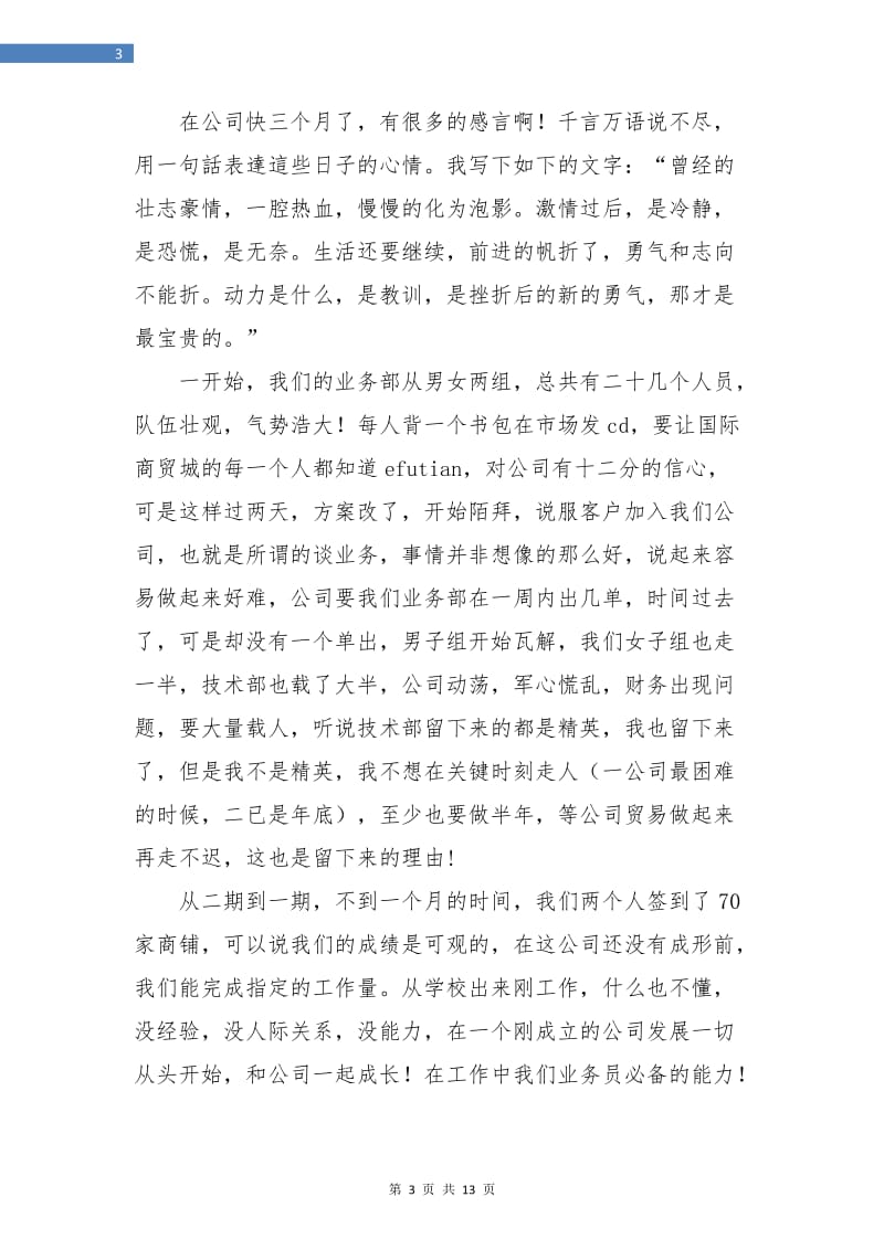 销售人员年终工作总结(三篇).doc_第3页