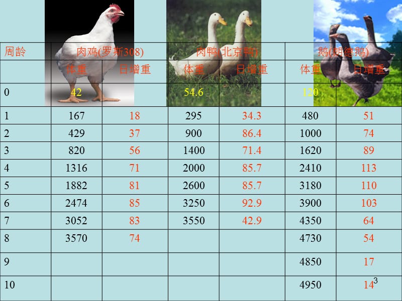 鹅的饲料配制技术ppt课件_第3页