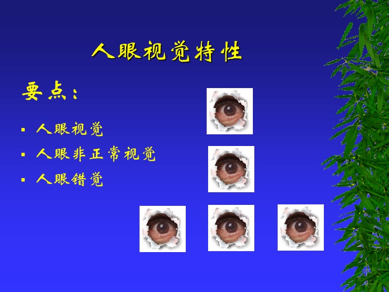 《人眼视觉特性》PPT课件.ppt_第1页