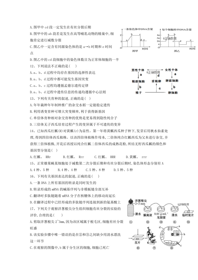 山西省平遥中学校2019届高三生物12月月考试题.doc_第3页