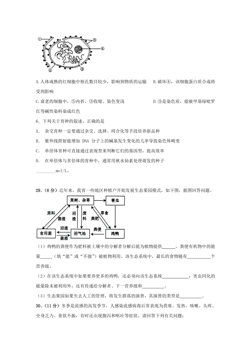 四川省宜宾县第一中学校2019届高三生物上学期期中试题.doc_第2页