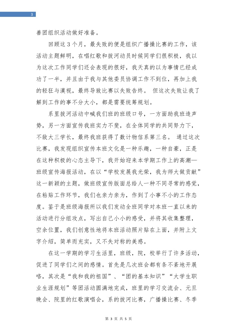 组织宣传委员年终总结.doc_第3页