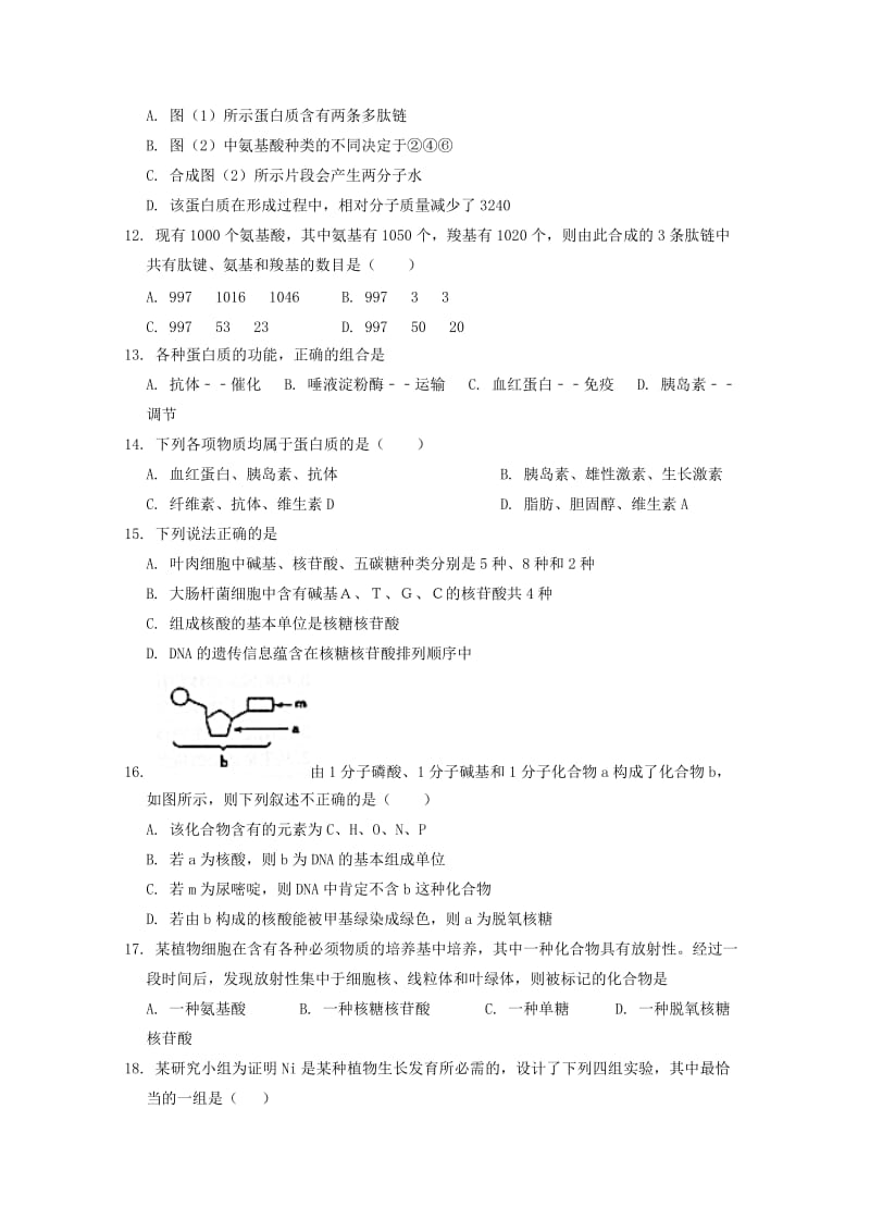 江苏省泰州市第二中学2017-2018学年高一生物上学期期中试题.doc_第3页