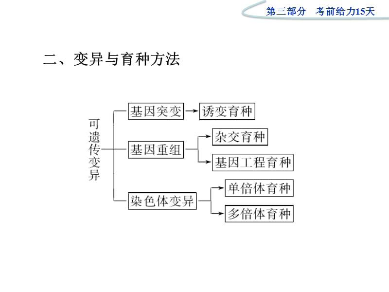 2012高考生物二轮复习课件：第三部分考前第8天.ppt_第3页