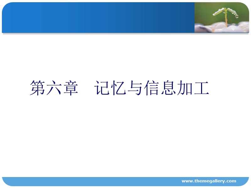 《记忆与信息加工》PPT课件.ppt_第1页