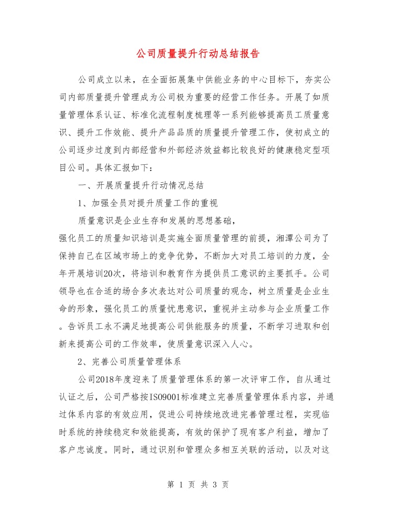 公司质量提升行动总结报告.doc_第1页