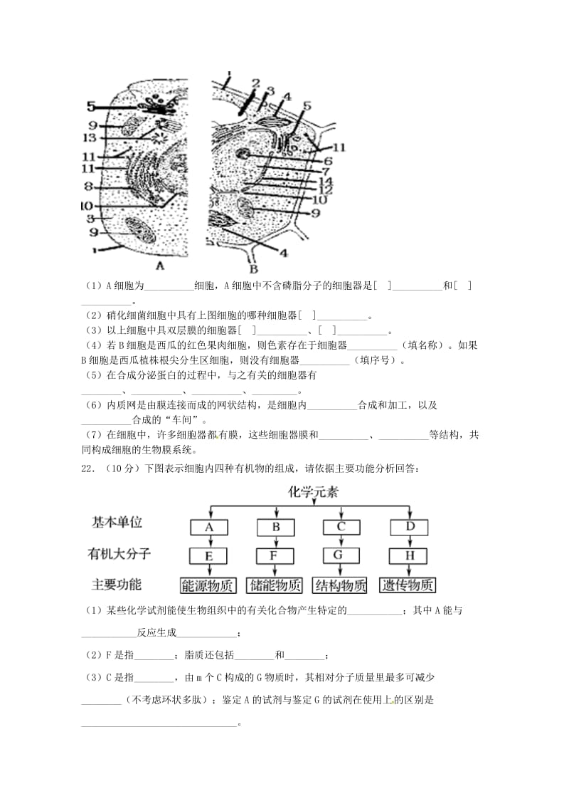 四川省宜宾县第一中学校2018-2019学年高一生物上学期期中试题.doc_第3页