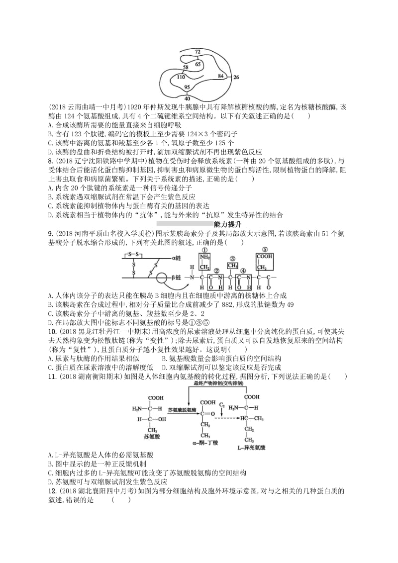 2020版高考生物大一轮复习 第1单元 走近细胞组成细胞的分子 课时规范练3 生命活动的主要承担者——蛋白质 新人教版.docx_第2页