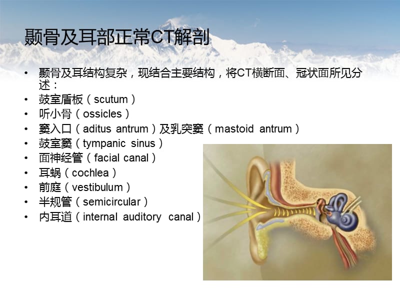 耳部常见疾病ppt课件_第3页