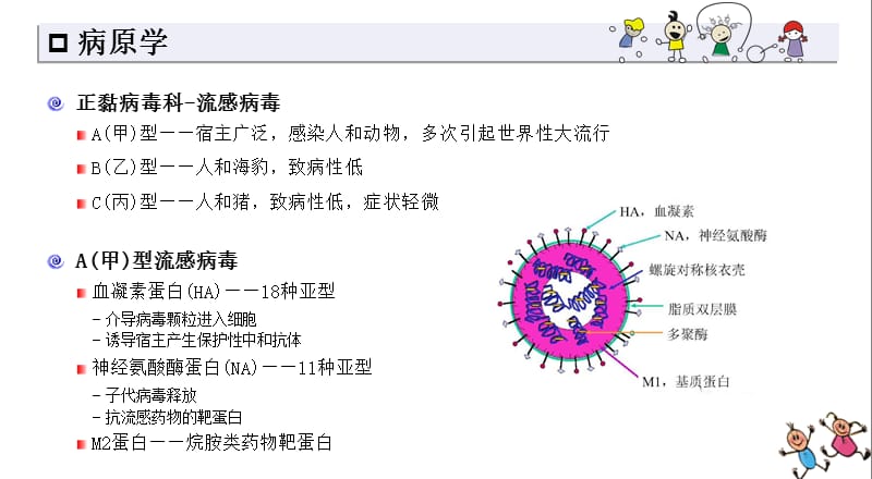 儿童流感诊断与治疗专家共识ppt课件_第2页