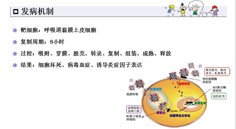 儿童流感诊断与治疗专家共识ppt课件_第3页