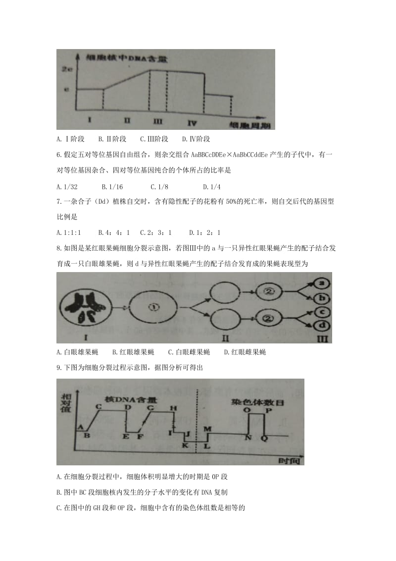 山东省枣庄市第八中学2017-2018学年高一生物下学期期末考试试题.doc_第2页