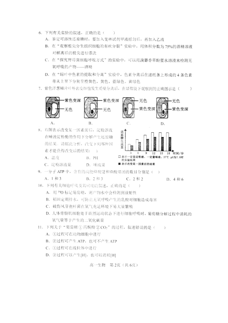 辽宁省沈阳市郊联体2018-2019学年高一生物上学期期末考试试题（扫描版）.doc_第2页