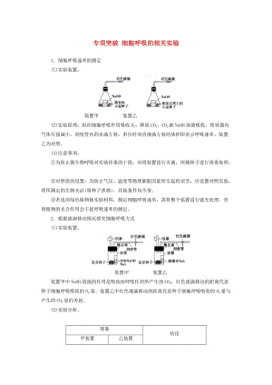 2019版高考生物總復習 第三單元 細胞的能量供應和利用 專項突破 細胞呼吸的相關(guān)實驗.doc