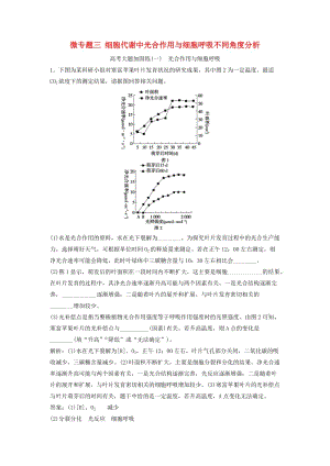 2019版高考生物一輪復(fù)習(xí) 第三單元 微專題三 細(xì)胞代謝中光合作用與細(xì)胞呼吸不同角度分析練習(xí) 新人教版.doc