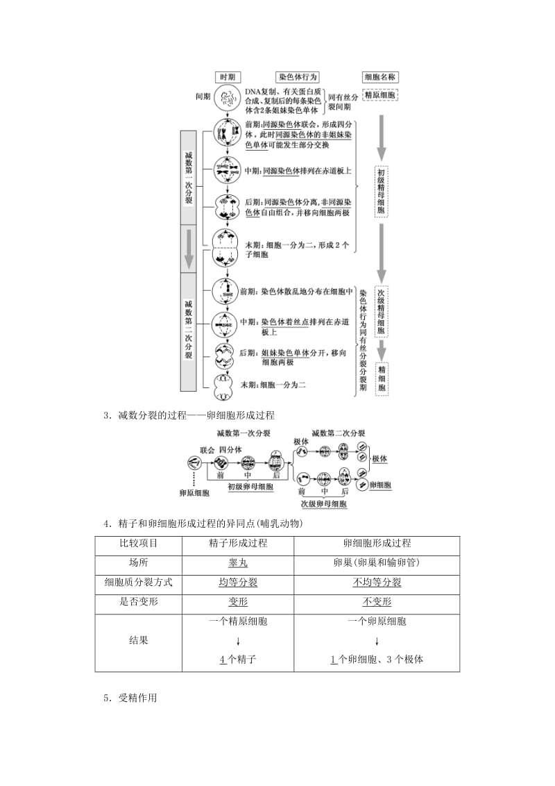 （通用版）2020版高考生物一轮复习 第四单元 第三讲 减数分裂与受精作用学案（含解析）.doc_第2页