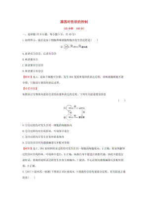 2018-2019學(xué)年高中生物 課時提升作業(yè)十一 4.2 基因?qū)π誀畹目刂疲ê馕觯┬氯私贪姹匦?.doc