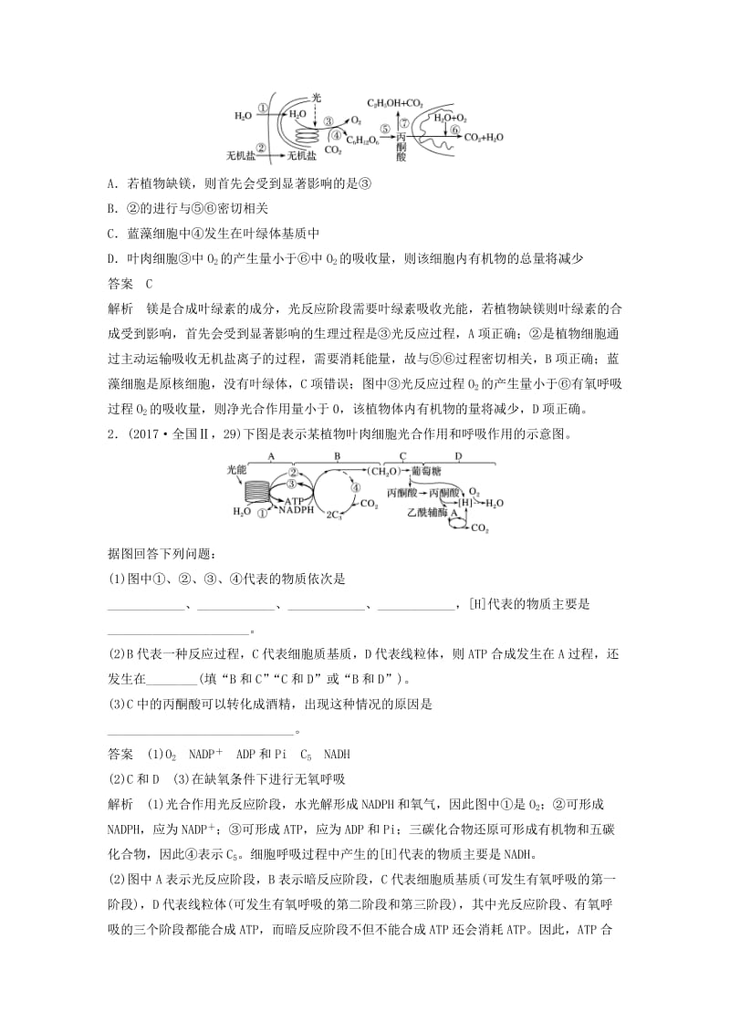 人教通用2020版高考生物大一轮复习第三单元细胞的能量供应和利用第10讲光合作用与细胞呼吸的综合应用讲义.docx_第3页