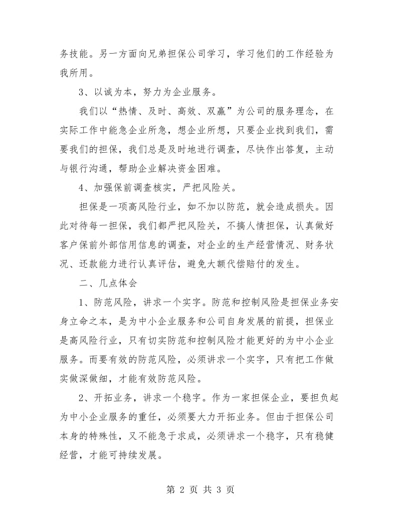 担保公司年度总结和计划.doc_第2页